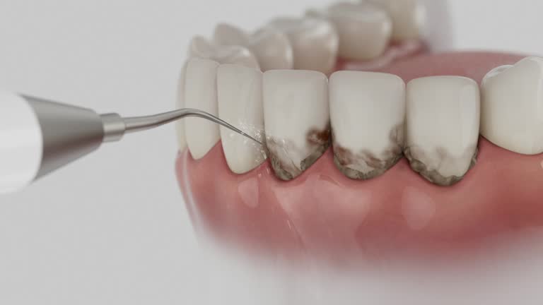 Reliable Dental contractor in Traverse City, MI by Dentist Open Now